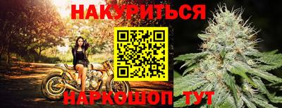 jwh Ачхой-Мартан